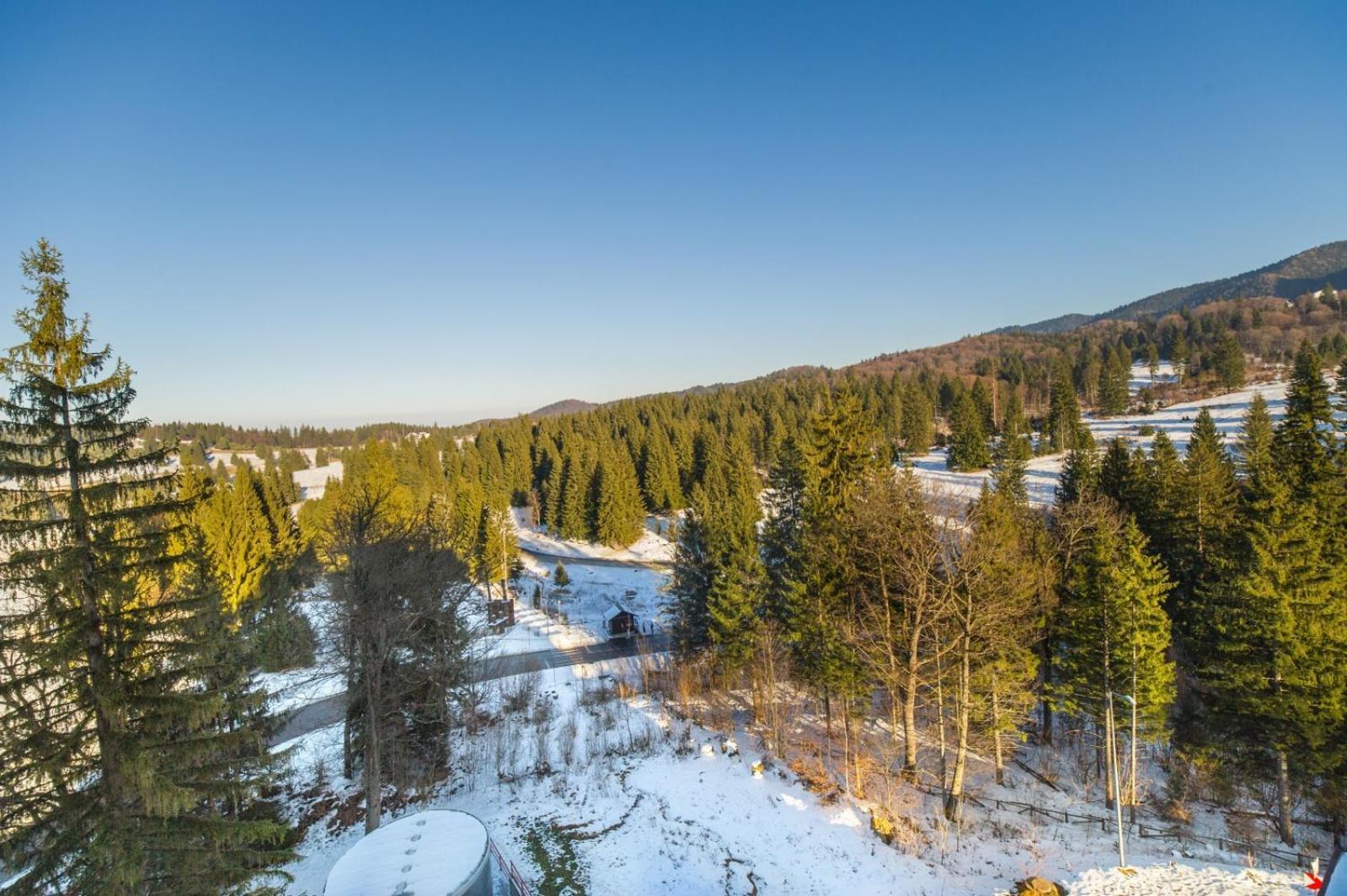Charming Family Condo In Silver Mountain Пояна Брашов Екстериор снимка